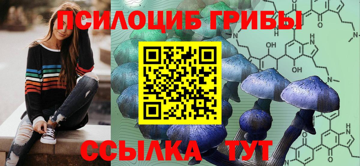 Псилоцибиновые грибы GOLDEN TEACHER Апшеронск