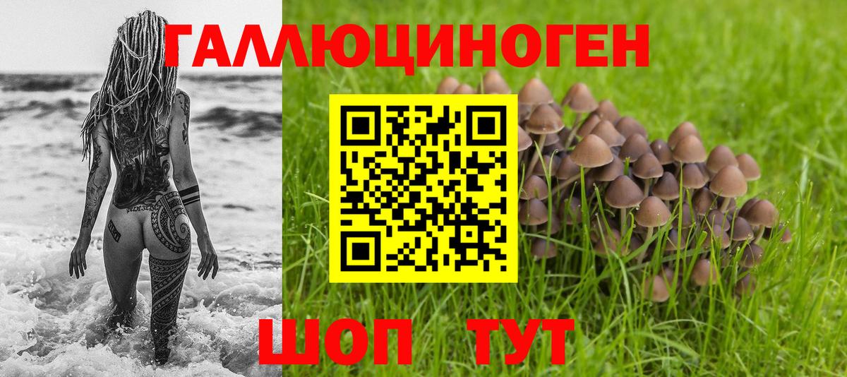 наркотики  Галлюциногенные грибы Cubensis  Вход с VPN  Апшеронск 